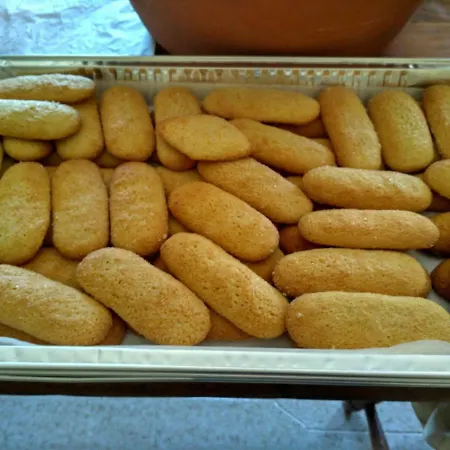 Bed & Breakfast Casa Frida Ploaghe